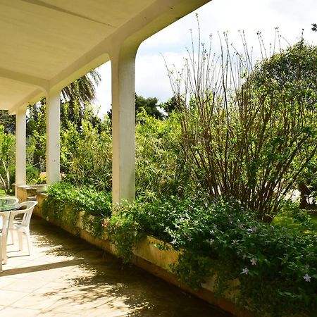 La Cecia - Casa Vacanze Nella Campagna Salentina Cavallino di Lecce Exteriör bild