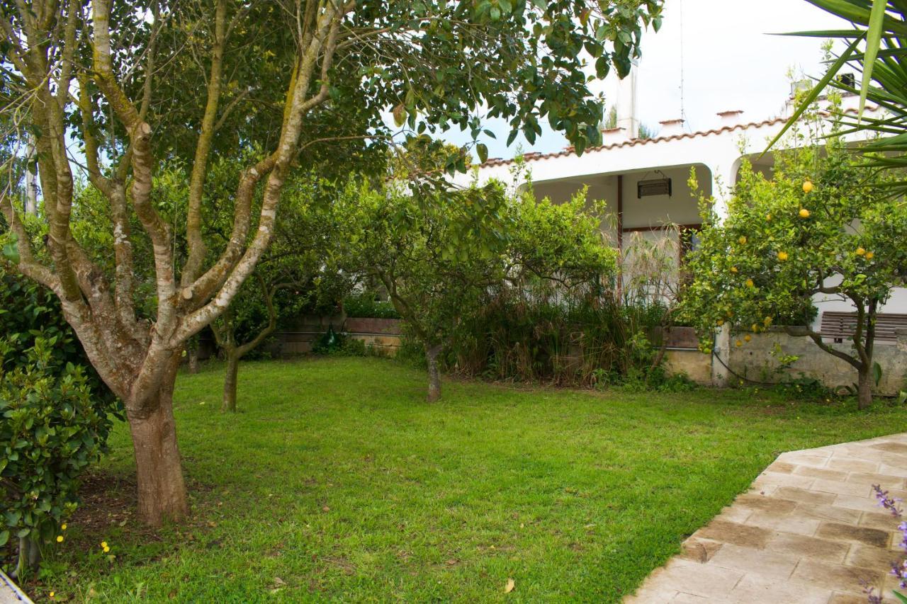 La Cecia - Casa Vacanze Nella Campagna Salentina Cavallino di Lecce Exteriör bild